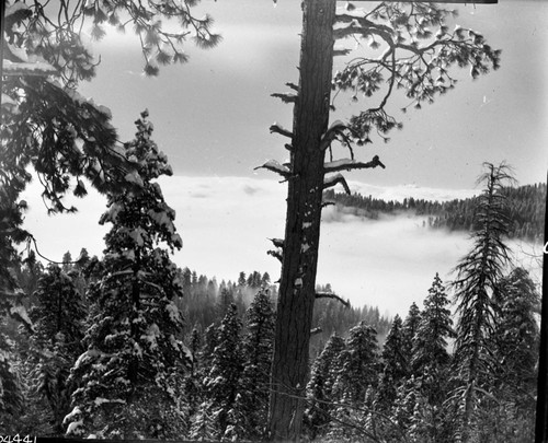 Clouds, Winter Scenes. Fog in canyons