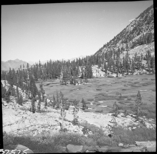 Miscellaneous Meadows, Shorty's Meadow, north of Granite Pass. Subalpine Meadow Plant Community, Lodgepole Pine Forest Plant Community, Left panel of two panel panorama. Match with negative 02526