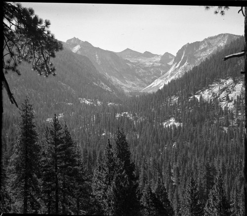 Scaffold Meadow area, KNCP, Deadman Canyon, Glaciated Canyons