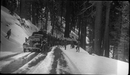 Sequoia Park, Military, Activities in Parks, Convoy Scenes. Giant Forest, near Sherman Tree