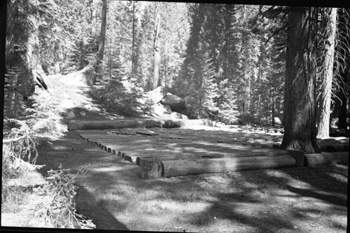 Buildings and Utilities, Grant Grove Amphitheater, Before reconstruction