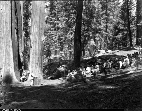 Misc. Groups, Religious Services, Church of the Sequoias. Misc. Visitor Activities