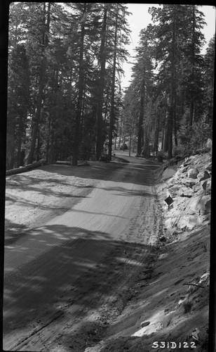 Generals Highway, looking towards Sherman Tree Road