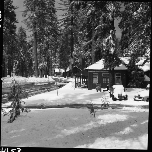 Winter Scenes, Grant Village in light snow. Concessioner Facilities