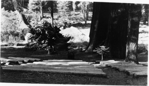 Buildings and Utilities, Church of the Sequoias