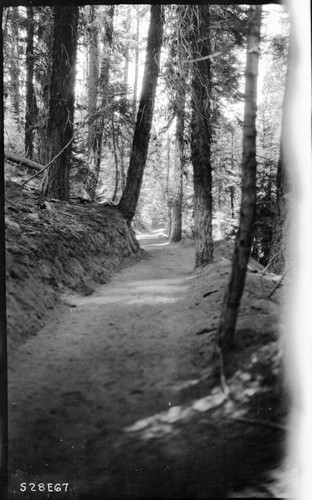 Construction, High Sierra Trail construction