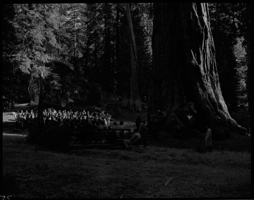 Nation's Christmas Tree Ceremony, 1962