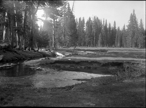 Meadow studies, stream bank erosion