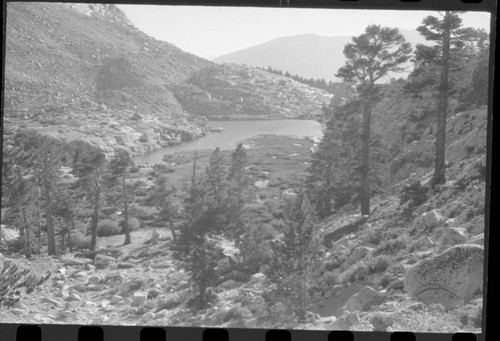 Misc. Lakes, Timberline Lake. Subalpine Forest Plant Community