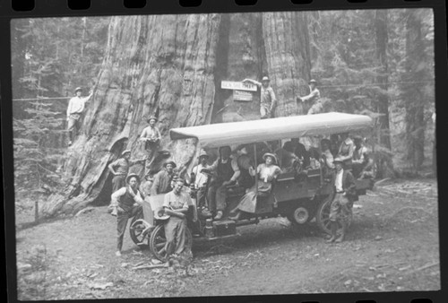 Vehicular Use. General Sherman Tree, Early auto stage at the General Sherman Tree. Ca. 1915 copied from original photo of R. E. Combs. Unknown date