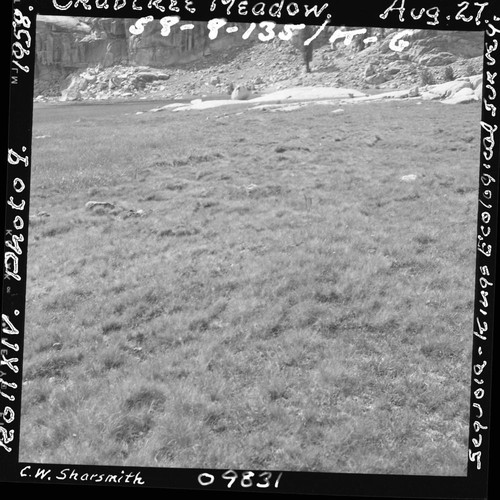 Meadow studies, Crabtree Meadow, permanent meadow photo plot study