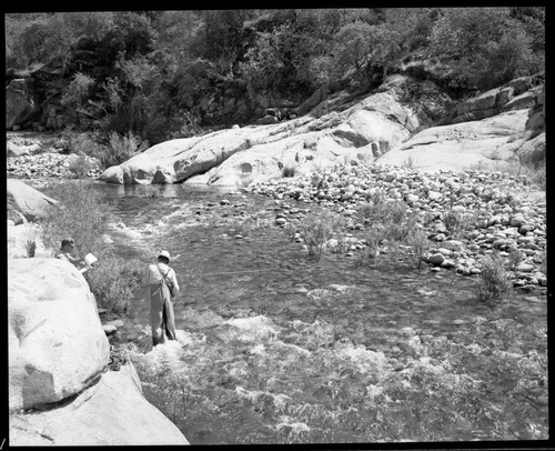 Marble Fork Kaweah River Misc. Resource Management Concerns, Station #4 Individual Unidentified, Kaweah No 3 Investigation, Optimum streamflows at transect