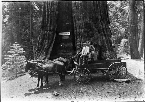 Vehicles and Equipment, early wagon. Individuals unidentified