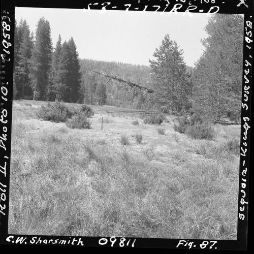 Meadow studies, permanent meadow photo plot study