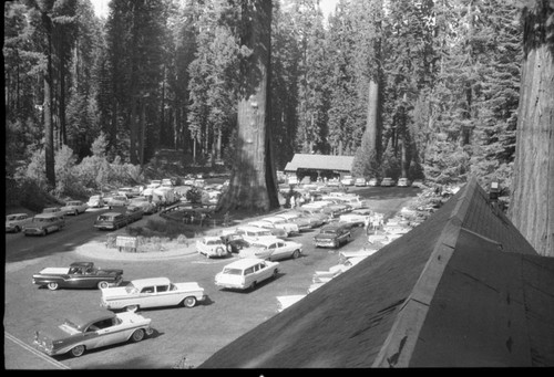 Vehicular Use, Giant Forest Village Parking area from Coffee Shop roof. Sentinel Tree