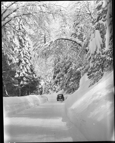 Winter Scenes, Roads, Vehicular Use, car on snowy road