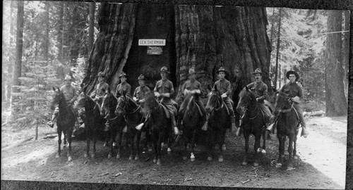 Military Administration, General Sherman Tree, Last Year of Cavalry at base of General Sherman Tree