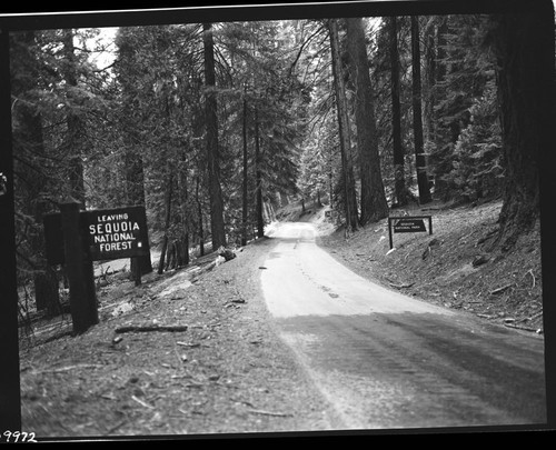 Roads, signs, Mineral King Road and park entrance signs in Cabin Cove