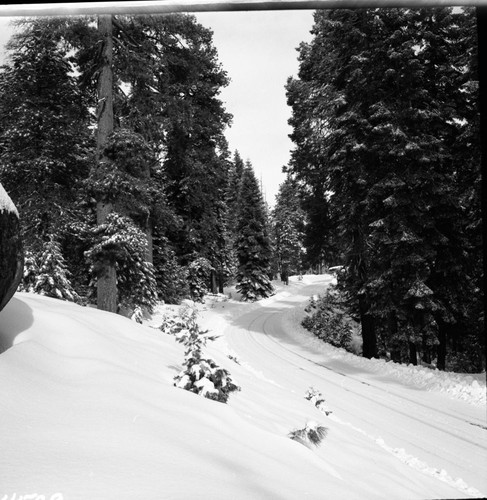 Winter Scenes, Generals Highway in snow