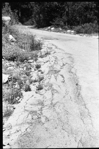 Roads, Floods and Storm Damage. Mineral King Road showing damage from severl winters without summer repairs