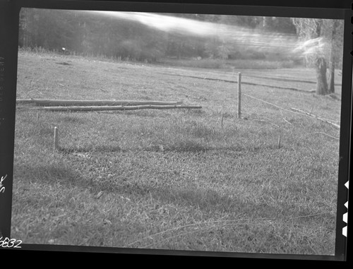 Meadow studies, plot #2 showing contrast of used nonused and clipped Nebraska Sedge. Research plots. Light leak