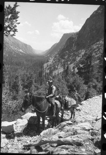 Trails, Chagoopa Trail into Kern River Canyon, Lee Roy Brooks, Fireguard. Stock Use