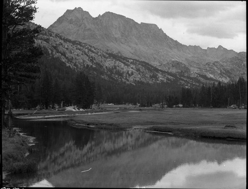 McClure Meadow. Mount Darwin, Meadow Studies