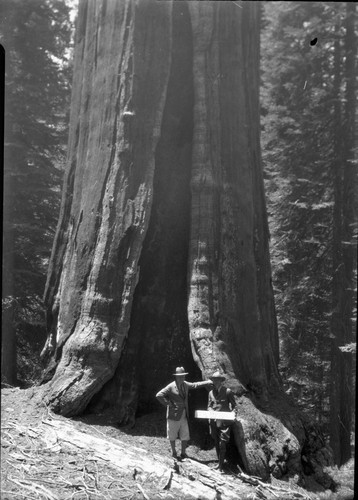 Historic Individuals, General Harbard at General Harbard Tree, with Col. John R. White. Misc. Named Giant Sequoias