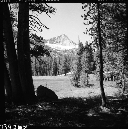 Misc. Creeks, West Fork Ferguson Creek. Lodgepole Pine Forest Plant Community, Subalpine Meadow Plant Community