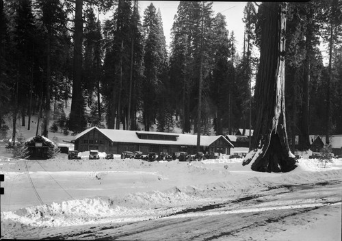 Concessioner Facilities, Sentinel Tree, Vehicular Use, village in winter