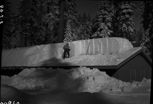 Record Heavy Snows, Critical snow conditions at Grant Grove after storm of February 4, 5, 6