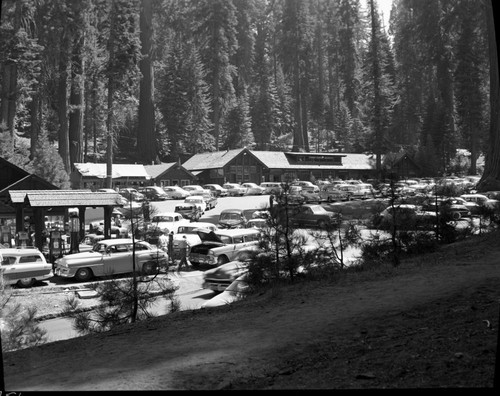 Vehicular Use, Labor Day weekend traffic, Giant Forest Village, Concessioner Facilities