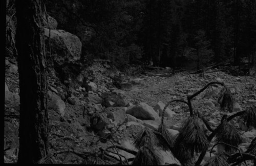 Floods and Storm Damage, Flood damage Middle Fork Trail