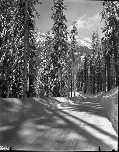 Winter Scenes, Generals Highway near Lodgepole