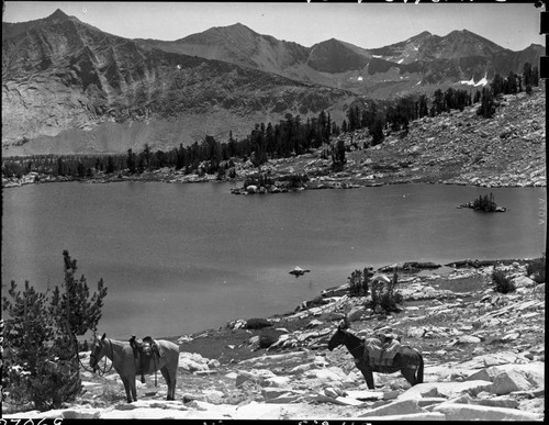 Meadow studies, Misc. Lakes, Lake south side Cartridge Pass, permanent meadow photo plot study. Misc. Gaps and Passes