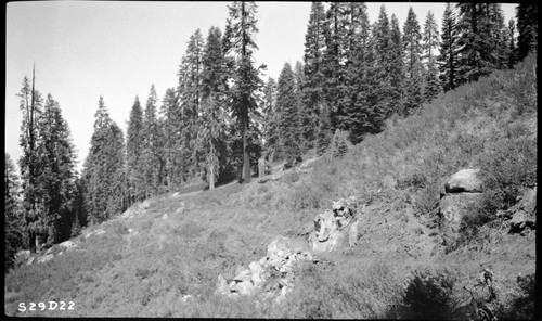 Trails, Mixed Coniferous Forest, station 414, to station 419 Clover Creek just ahead