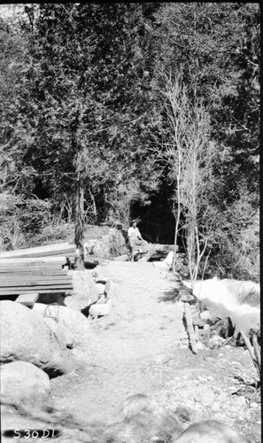 Construction, Cold Springs Trail Bridge. Bridges