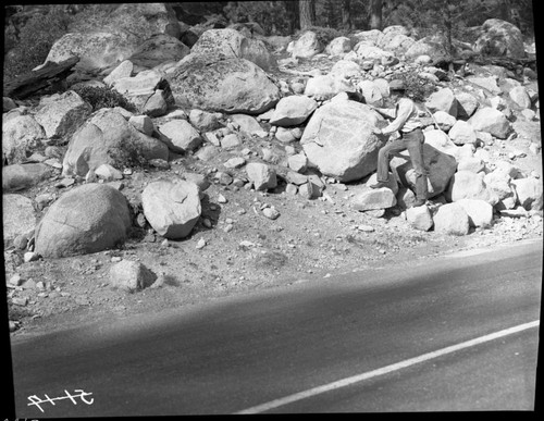 Glacial Moraines, Terminal Moraine in road cut. Individual unindentified