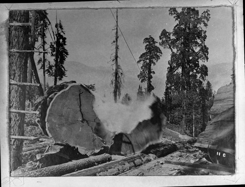 Logging, Sequoia stump being blasted apart, from Ed. Bryant's album