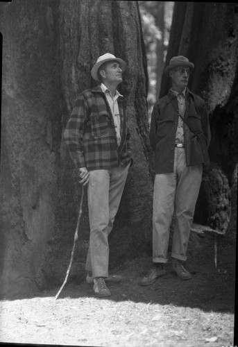 NPS Individuals, Kobs and Sisson first nature guide in Giant Forest. (neg. copied reversed)