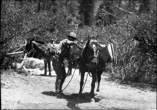 Ranger activities, planting trout fry, Ranger George Brooks, Hockett Ranger pictured, Misc. Resource management concerns, NPS Individuals