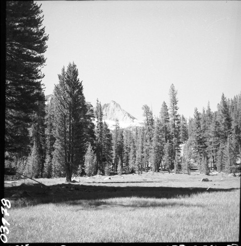 Misc. Creeks, West Fork Ferguson Creek. Lodgepole Pine Forest Plant Community, Subalpine Meadow Plant Community