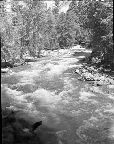 Middle Fork Kings River