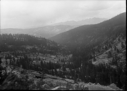 Misc. Canyons, view down Crowley Canyon from below Ranger Lakes on cattle trail to upper Crowley. Lodgepole Pine Forest Plant Community