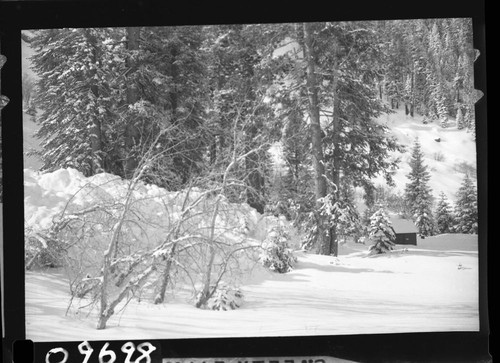 Flood and Storm Damage, Avalanche near Cold Springs Campground