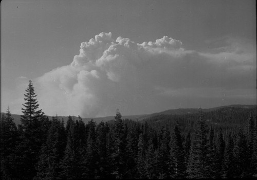 Wildland Fires, McGee fire from Little Baldy Saddle