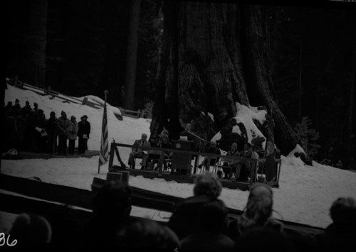 Nation's Christmas Tree Ceremony, 1973