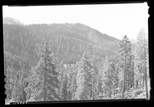 Redwood Mountain Grove, view across headwaters of Eshom Creek to Redwood Mountain