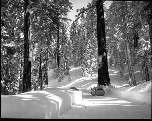 Winter Scenes, Generals Highway in snow. Vehicular Use