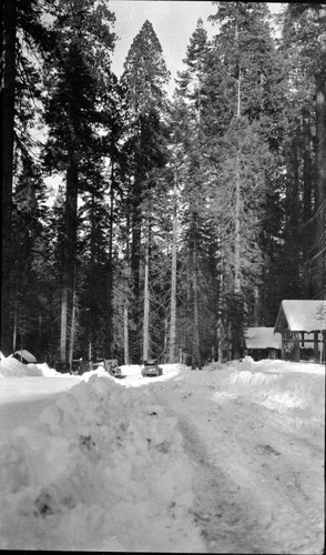 Vehicles and Equipment, cars on snowy road. Vehicular Use